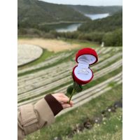 PANDORA YÜZÜK VE GÜL YÜZÜK KUTUSU