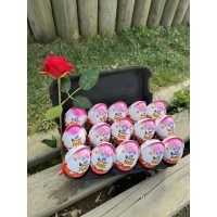 15 Lİ Kinder SÜRPRİZ YUMURTA KOLİSİ